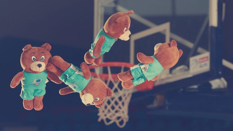 Lancer de peluches 